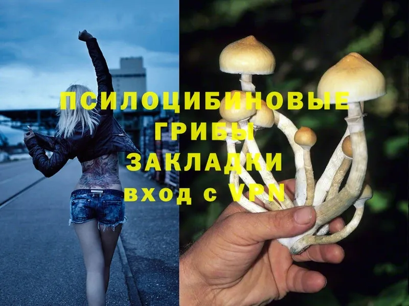 Галлюциногенные грибы Psilocybe  Ялта 