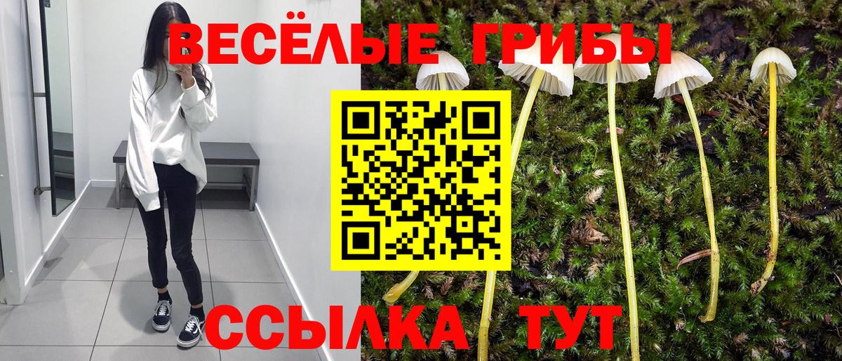 цены наркотик  Ялта  Галлюциногенные грибы прущие грибы 