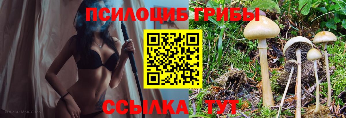 даркнет сайт  Вход с VPN  Ялта  Псилоцибиновые грибы Psilocybine cubensis 