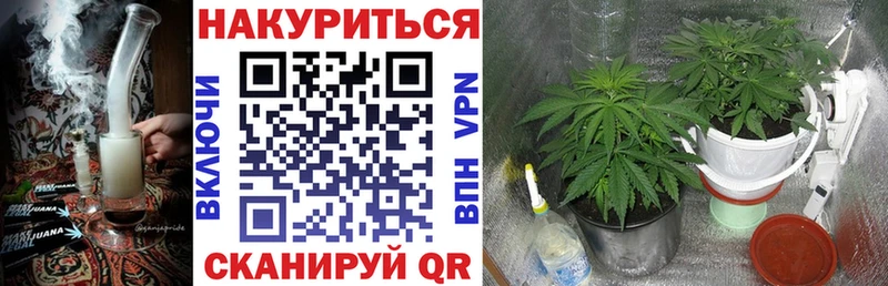 Конопля SATIVA & INDICA  Ялта 